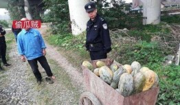 吃瓜最新事件爆料安徽新闻,吃瓜群众热议最新事件，揭秘幕后真相